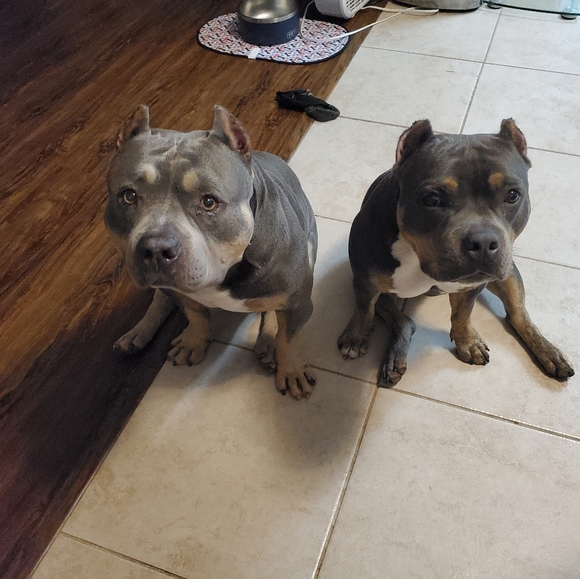 Meet your Posher, Rika - Picture 2 of 3